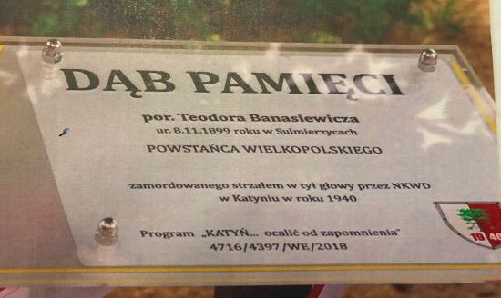 Tablica dębu pamięci Teodora Banasiewicza