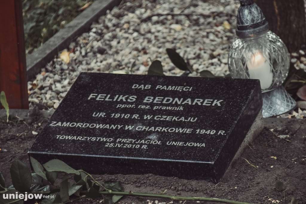 Tablica upamiętniająca Dąb Pamięci Feliksa Bednarka w Uniejowie.