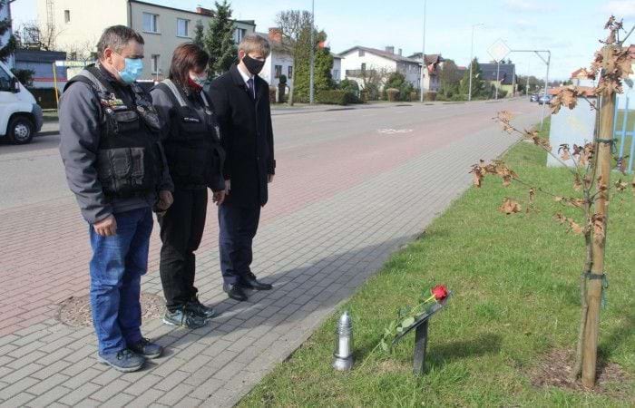 Dęby posadzone w miejscowości Brus.