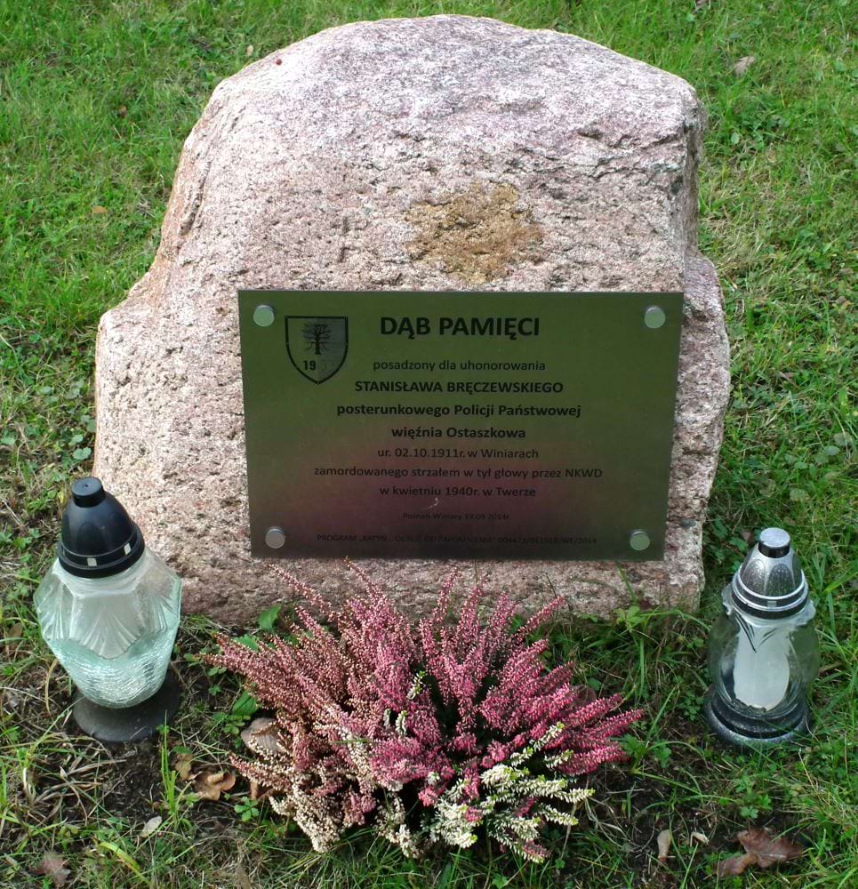 Tabliczka - Dąb Stanisława Bręczewskiego przy kościele na Winiarach w Poznaniu.