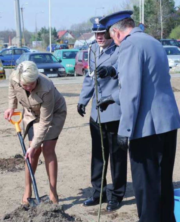 Sadzenie dębu pamięci dla uczczenia Piotra Bresińskiego.