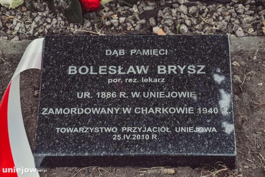 Tablica pod dębem pamięci Bolesława Brysza.