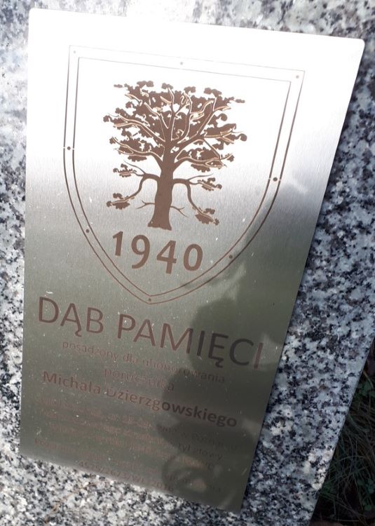 Tablica pamięci - Dąb Pamięci na poznańskiej Ławicy, poświęcona Michałowi Dzierzgowskiemu.