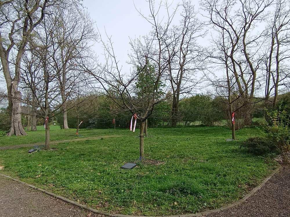 Dąb Pamięci Uniej&oacute;w