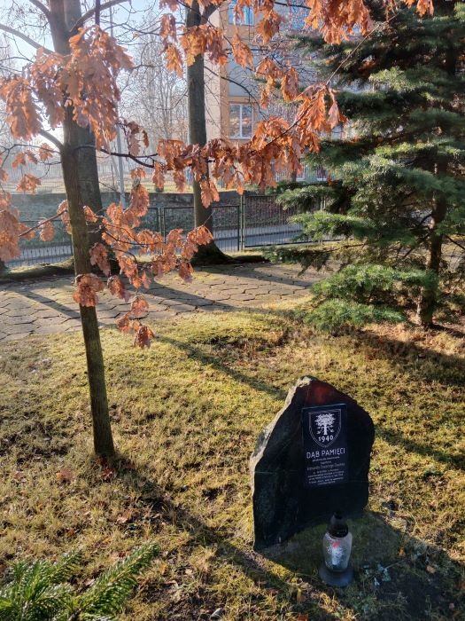 Dąb Pamięci Edmunda Gaussa w Poznaniu