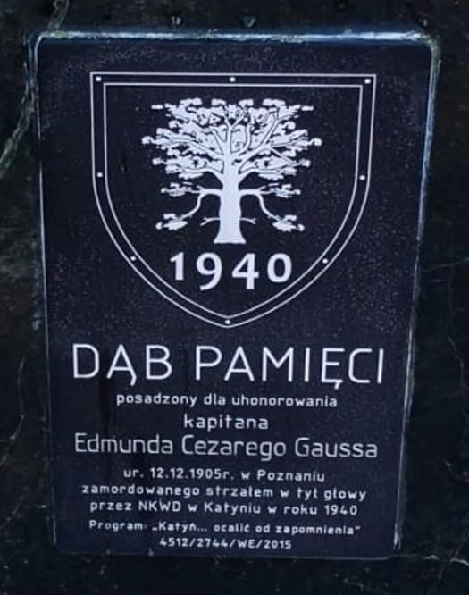 Tabliczka przy dębie pamięci Edmunda Gaussa w Poznaniu