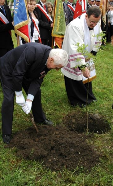 Sadzenie dębu pamięci J&oacute;zefa Gliszczyńskiego.