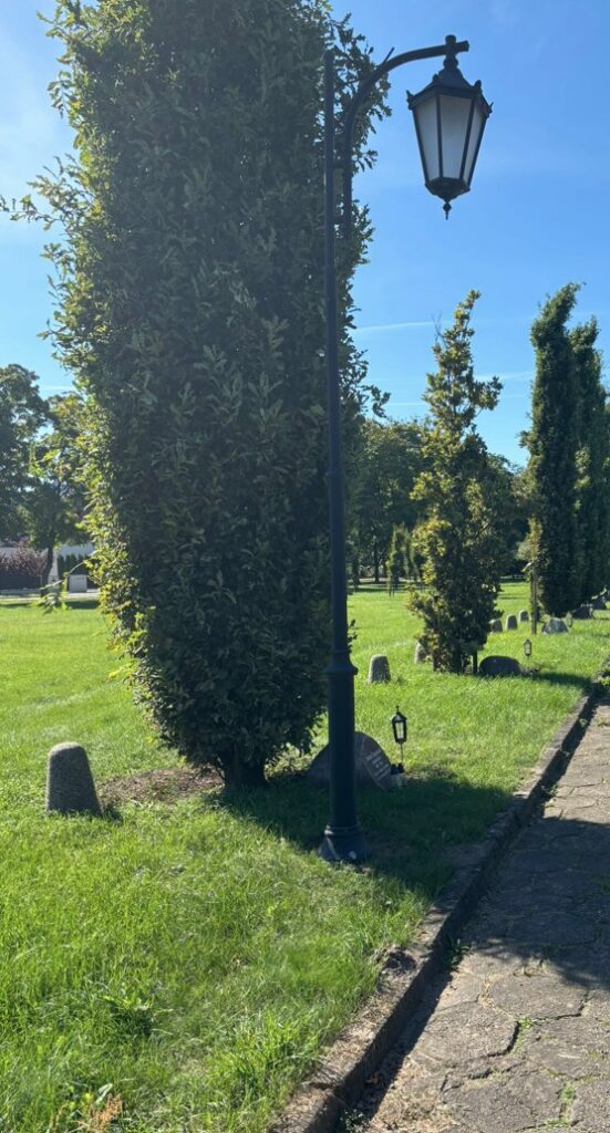 Piotr G&oacute;rski - dąb pamięci i kamień w alei katyńskiej w Słupcy.