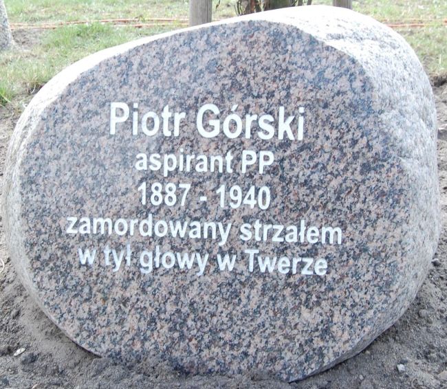 Kamień Piotra G&oacute;rskiego przy dębie pamięci.