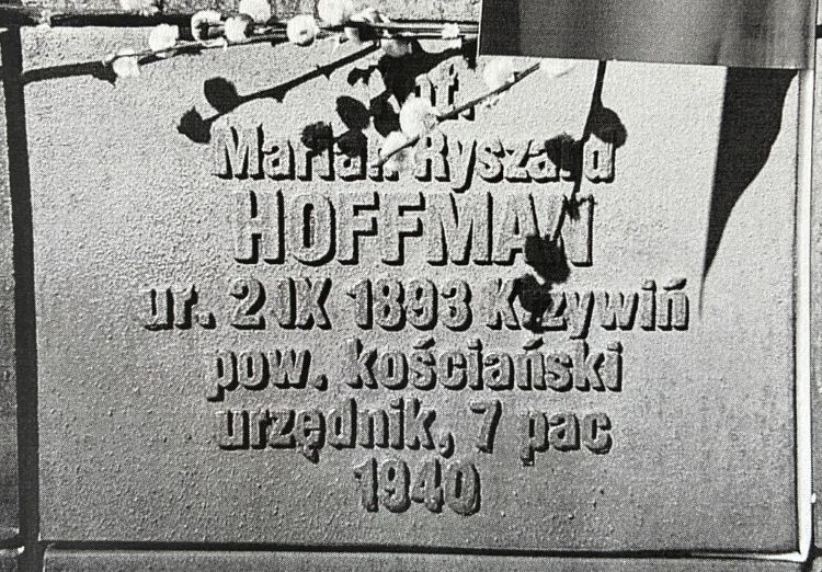 Tabliczka cmentarna Mariana Hoffmana na cmentarzu w Katyniu.