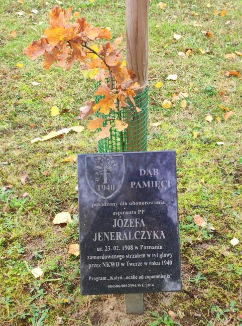 Jesień 2024, dąb J&oacute;zefa w Alei Dęb&oacute;w Pamięci, ulica Pienista teren Jednostki Prewencji Policji w Łodzi.