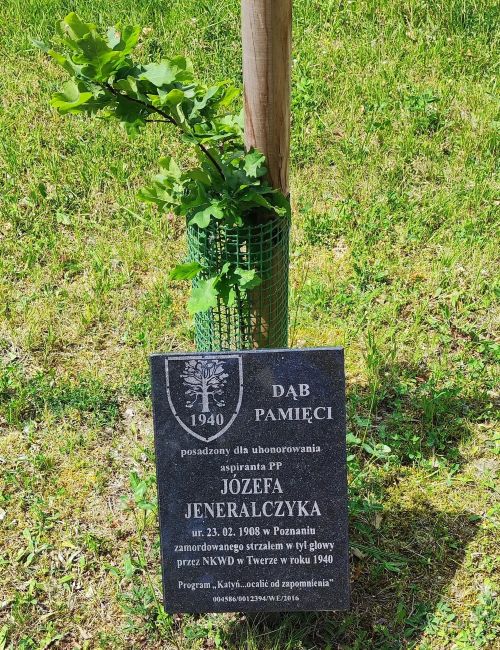 Wiosna 2024, dąb J&oacute;zefa w Alei Dęb&oacute;w Pamięci, ulica Pienista teren Jednostki Prewencji Policji w Łodzi.