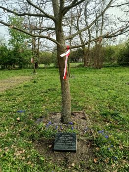 Dąb Pamięci Leona Kaftana.