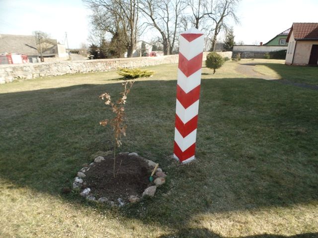Dąb Pamięci Stanisława Kozakiewiczowi posadzony obok kościoła pod wezwaniem św. Stanisława Biskupa Męczennika w Klępiczu (07.04.2018).