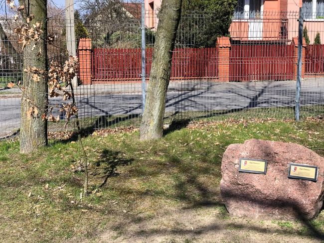 Dąb Pamięci Franciszka Kużajskiego przy Szkole Podstawowej w Kikole