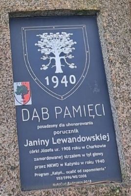 Tablica dębu pamięci Janiny Lewandowskiej w Połczynie Zdroju.
