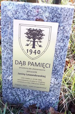Tablica dębu pamięci Janiny Lewandowskiej przy poznańskim lotnisku Ławicy. 