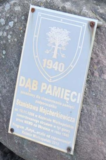 Majcherkiewicz_Stanislaw-DabPamieciTablica1 Stanisław Majcherkiewicz - tablica dębu pamięci
