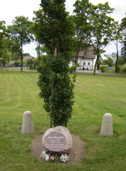 Dąb Pamięci Adama Makowskiego w słupeckiej Alei Dęb&oacute;w Pamięci. 