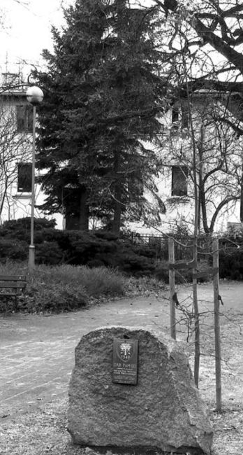 Dąb i kamień z tabliczką pamięci Adama Malinowskiego posadzony w szkole w Siechcicach (2010). 