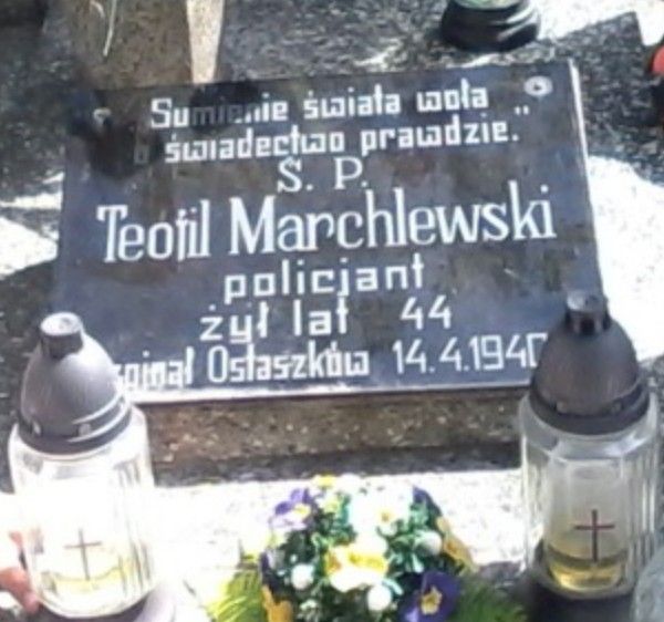 Gr&oacute;b symboliczny Teofila Marchlewskiego na Cmentarzu w Wilczog&oacute;rze