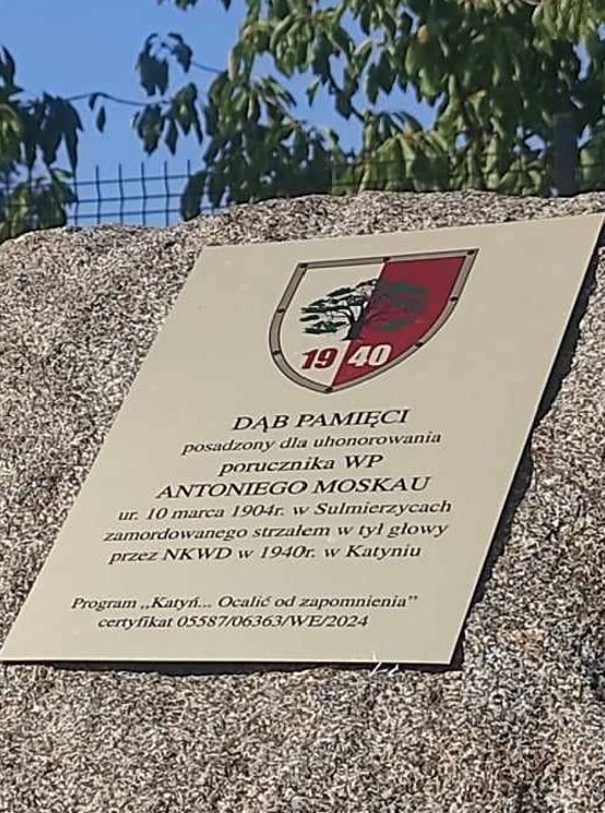 Tablica Dąb Pamięci podporucznika Antoniego Moskau w Wojanowie.