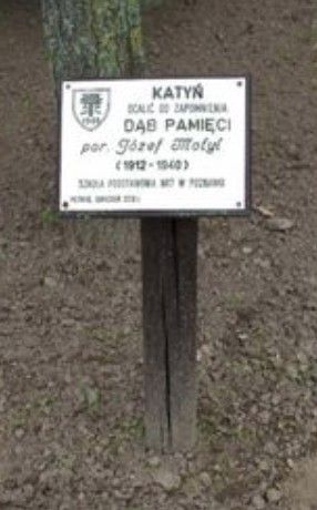 Tabliczka pamięci przy Dębie porucznika Józefa Motyla.