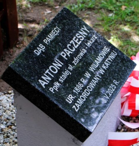 Paczesny_Antoni-tablicaDabPamieci Antoni Paczesny tablica Dąb Pamięci Uniejów