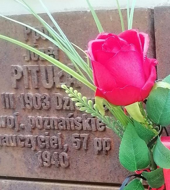J&oacute;zef Pituła - tabliczka cmentarna w Katyniu.