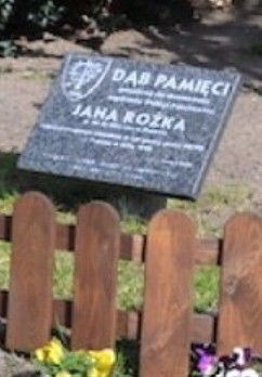 Tabliczka dębu pamięci Jana Rożka.