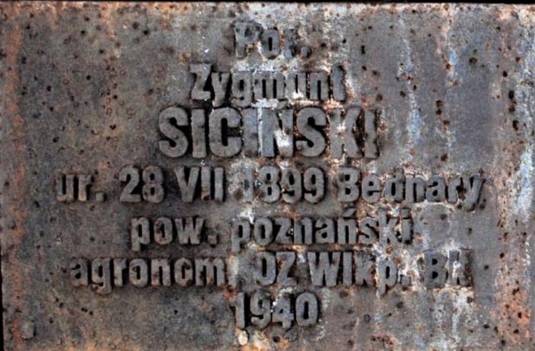 Zygmunt Siciński tabliczka cmentarna