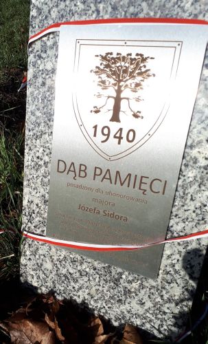 Józef Sidor - tablica pamięci dębu na poznańskiej Ławicy