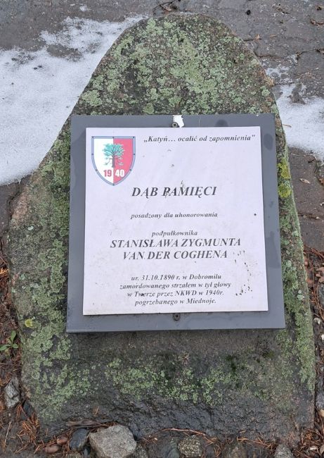 Tabliczka dębu pamięci Stanisława van der Coghen