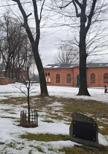 Dąb pamięci i tablica pamiątkowa Leona Walaszczyka