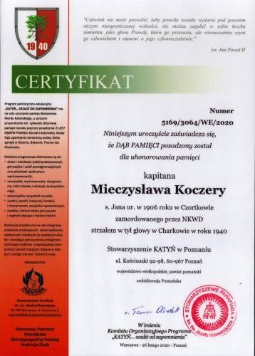 Certyfikat dębu Pamięci Mieczysława Koczery